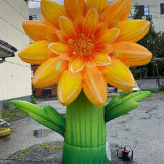 Надувная фигура цветок Хризантема жёлтая - Производственное предприятие АЭРО - Пневмокаркасные шатры и палатки,  надувные рекламные конструкции, надувные сцены, арки  и пневмокостюмы